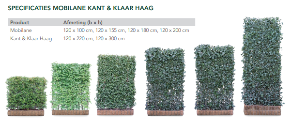 Kant en klare haag plaatsen