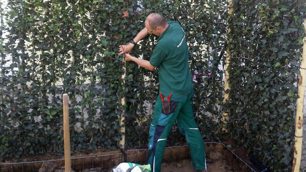 Kant en klare haag plaatsen