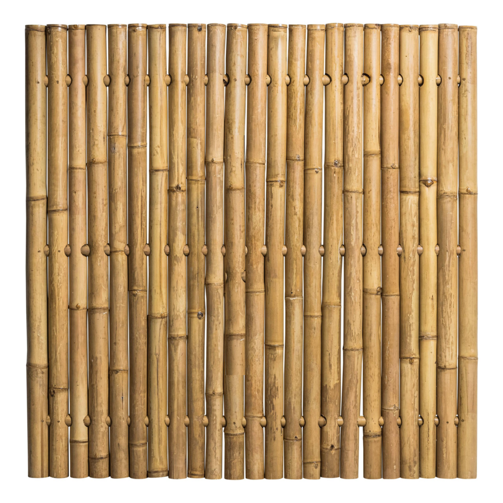 Bamboe schutting