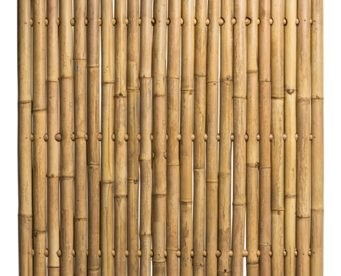Bamboe schutting